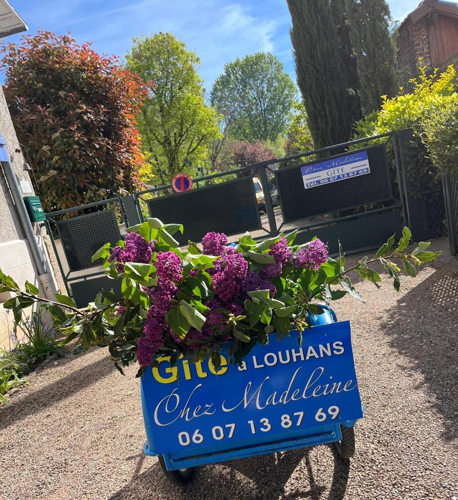 Gite Chez Madeleine Daire Louhans Dış mekan fotoğraf
